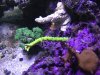 2012-09-03 at 21-55-04.jpg