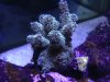 2012-09-03 at 21-58-39.jpg
