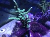 2012-09-03 at 21-58-19.jpg