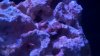 2012-09-10_18-24-49_841.jpg