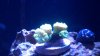 2012-09-10_18-24-41_190.jpg