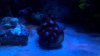 2012-09-10_18-24-19_618.jpg