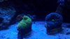 2012-09-10_18-23-54_200.jpg