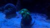 2012-09-10_18-23-48_549.jpg