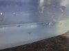 IMG_20120911_153423.jpg