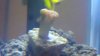 IMAG0417.jpg