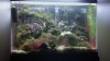2012-09-15_20-04-59_103.jpg