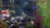 2012-09-15_20-05-53_972.jpg