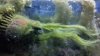2012-09-15_20-06-27_698.jpg