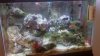 2012-09-16_18-00-36_757.jpg