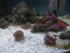 IMG_2253.jpg