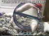 ImageUploadedByTapatalk1348405785.108941.jpg
