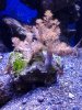 20120922_191937.jpg