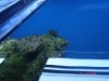 DSC02431.jpg