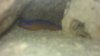 IMAG0425.jpg