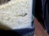IMG_20120928_201819.jpg