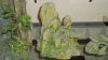 DSC00481.jpg