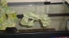 DSC00482.jpg