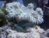2012-10-07_18-56-38_121.jpg