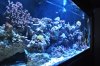 DSC_0118.jpg