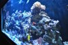 DSC_0112.jpg