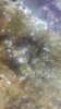 IMAG0477.jpg