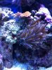 large bta.jpg