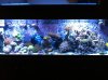 FTS pic 10.13.12.jpg