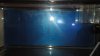 DSC00483.jpg