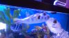 2012-07-29 18.08.49.jpg
