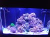 65 sps 041.JPG