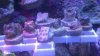 uploadfromtaptalk1351221920197.jpg