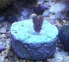 newfrag1[1].jpg