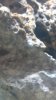 IMAG0523.jpg