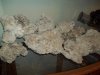 new rock 003.jpg