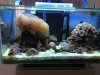 Aquarium 11-22-2012.jpg