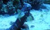 DSCN1651-best.jpg