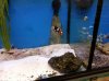 2012-12-05 12.36.50-5.jpg