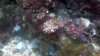 2012-11-17_12-37-45_720.jpg