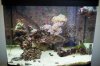 FTS.jpg