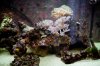 FTS2.jpg