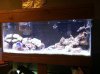 IMG_3063.jpg