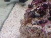 20121221_010714.jpg