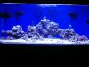 Full Tank Shot.jpg