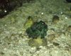 IMG_0686.jpg