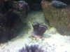 IMG_0691.jpg