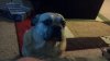 2012-05-05_19-17-21_335.jpg