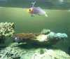 IMG_0610.jpg