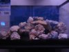 DSC00553.JPG