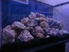 DSC00555.JPG
